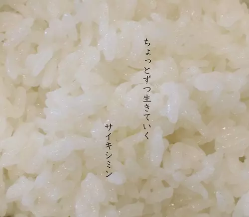サイキシミン / ちょっとずつ生きていく