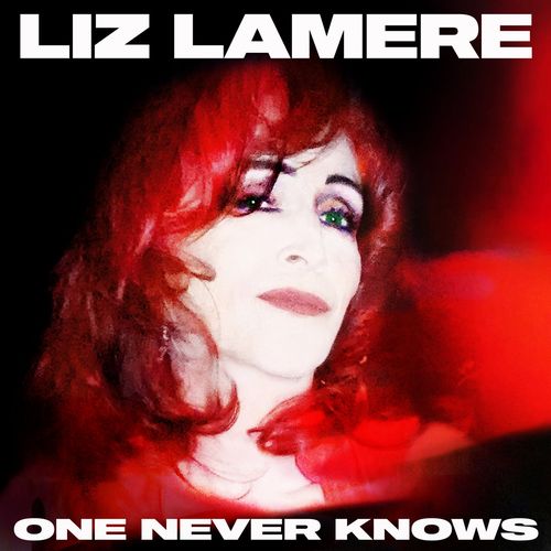 LIZ LAMERE / ONE NEVER KNOWS (LP)