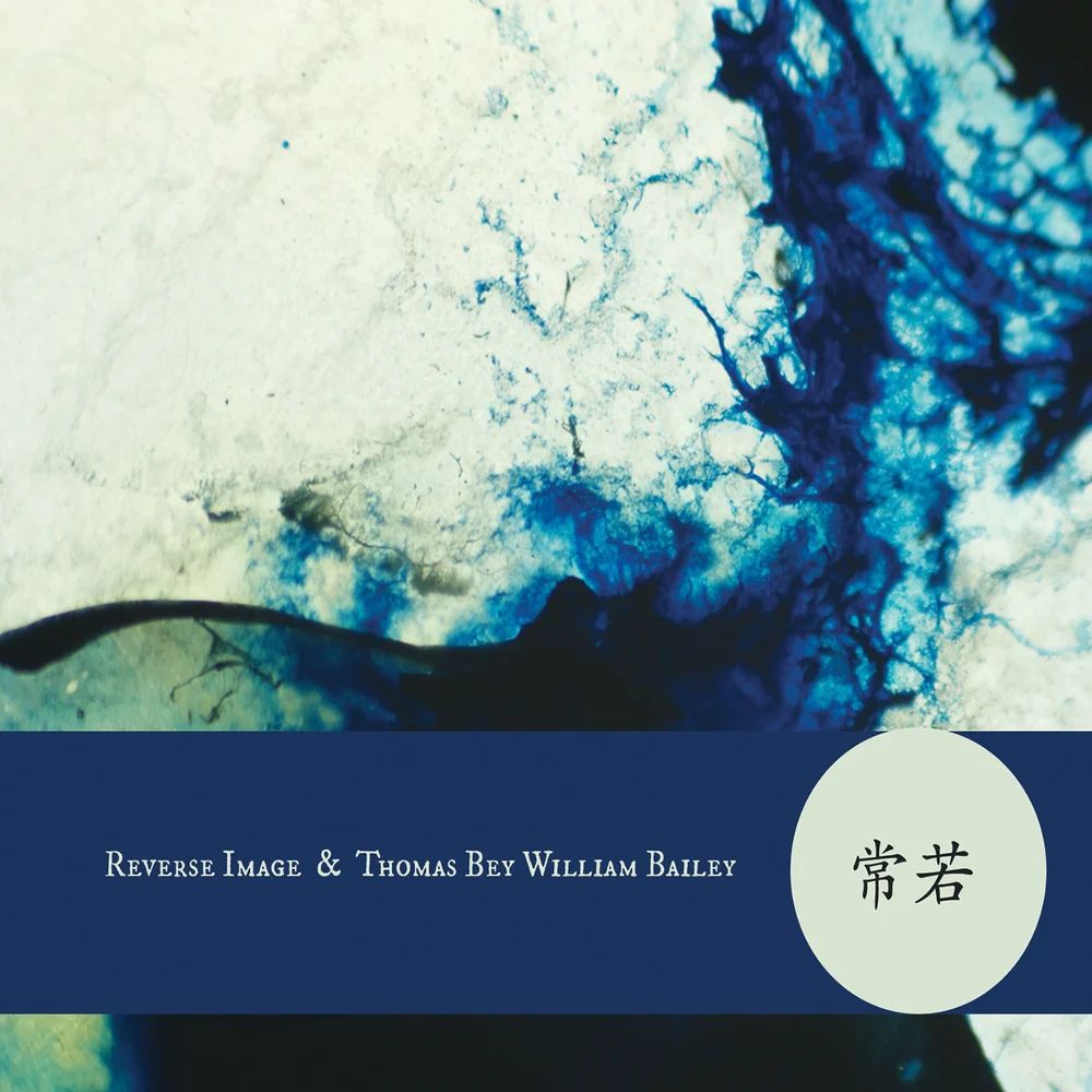REVERSE IMAGE + THOMAS BEY WILLIAM BAILEY / TOKOKAWA
