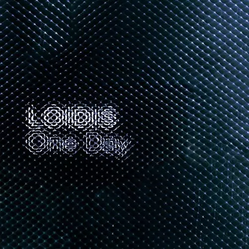 LOIDIS (HUERCO S) / ONE DAY (2LP)