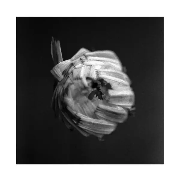 A SWARM OF THE SUN / AN EMPIRE