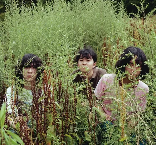 puggs / パグスの遭遇体験