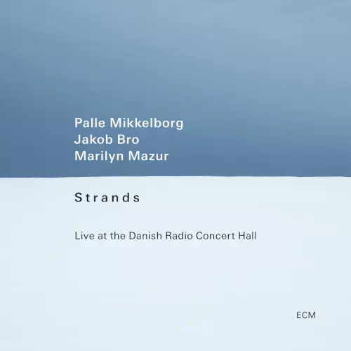 PALLE MIKKELBORG / パレ・ミッケルボルグ / Strands: Live at the Danish Radio Concert Hall(LP)