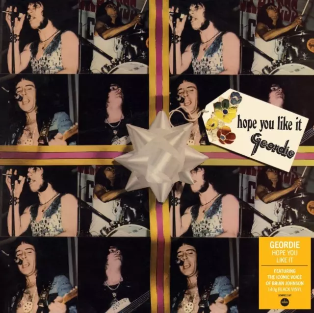 GEORDIE / ジョーディー / HOPE YOU LIKE IT (LP)