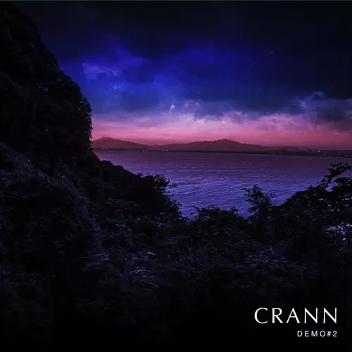 CRANN / DEMO#2
