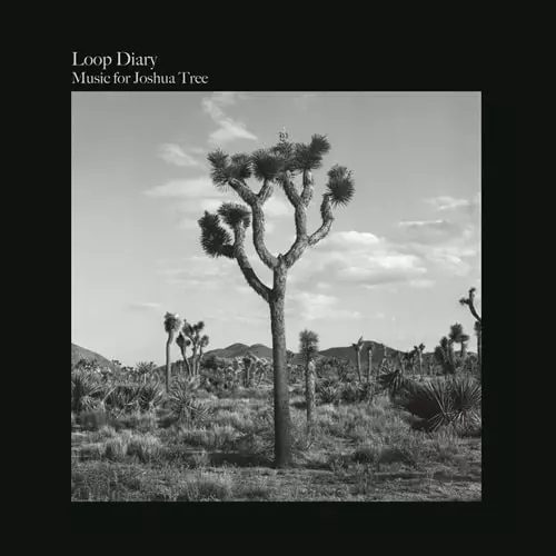 LOOP DIARY / Music for Joshua Tree