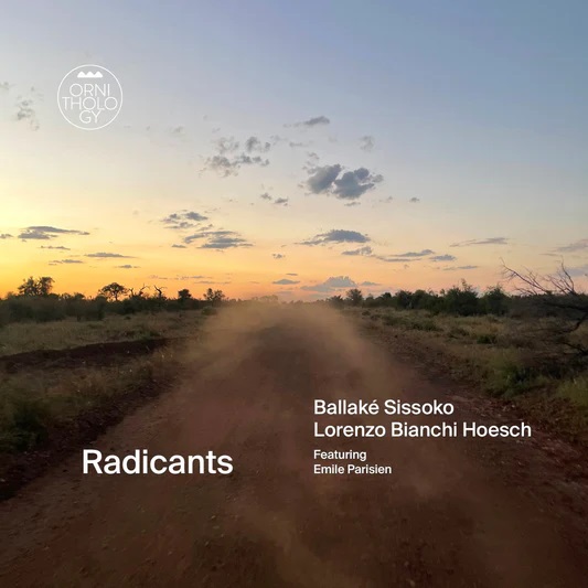 BALLAKE SISSOKO & LORENZO BIANCHI HOESCH / バラケ・シソコ & ロレンツォ・ビアンキ・ホーシュ / RADICANTS