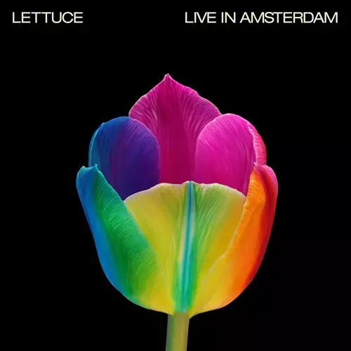 LETTUCE / レタス / LIVE IN AMSTERDAM (2LP)