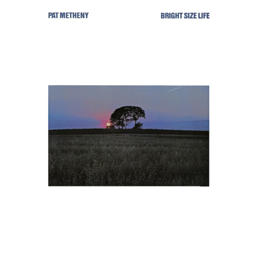 PAT METHENY / パット・メセニー / Bright Size Life(LP)