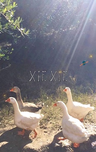 xiexie / XIEXIE / 33 (CASSETTE)