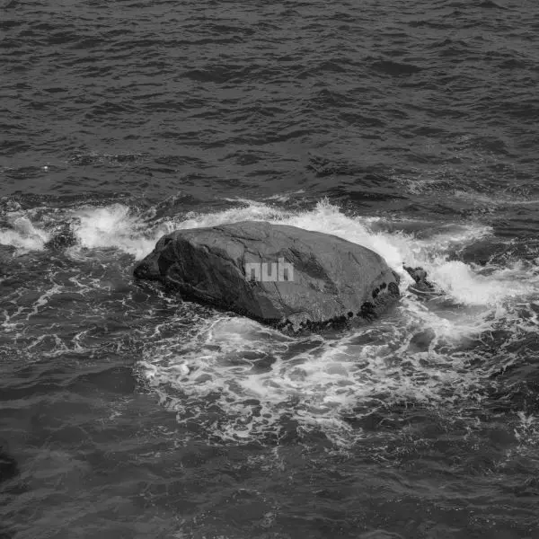 NUH (KOREA) / NUH / 24/20