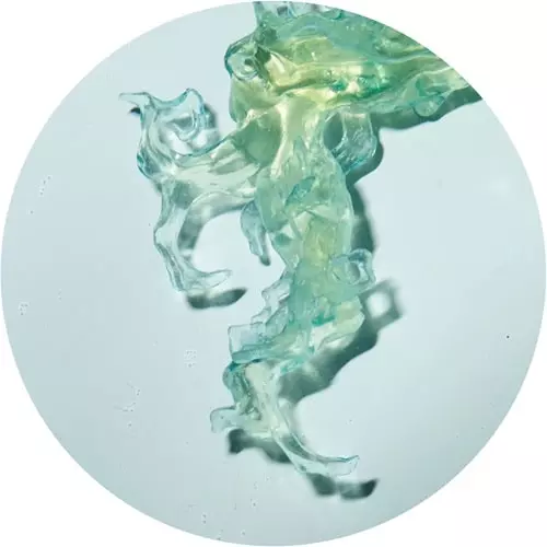 ALTONE / INVINCIBLE NATURE EP