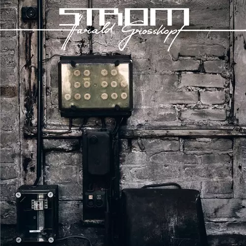 HARALD GROSSKOPF / ハラルド・グロスコフ / STROM: LIMITED VINYL