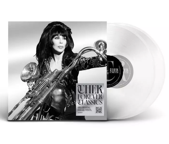 シェール　All Or Nothing 　US盤 貴重 CDシングル シェール All Or Nothing US盤 貴重 CDシングル 洋楽