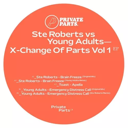STE ROBERTS & YOUNG ADULTS / X-CHANGE OF PARTS VOL 1 EP