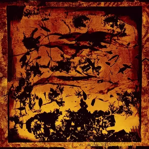 HASSAN ABOU ALAM / MESH MAFHOOM