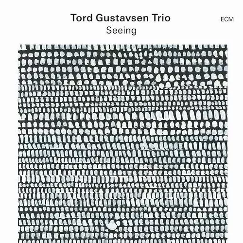 TORD GUSTAVSEN / トルド・グスタフセン / Seeing(LP)