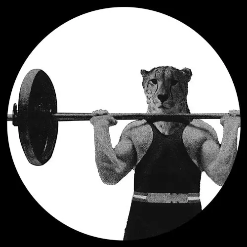 ORBE / ABSOLUTE ZERO