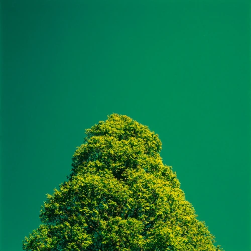 DEVIN DANIELS / LesGo!(LP/180G)