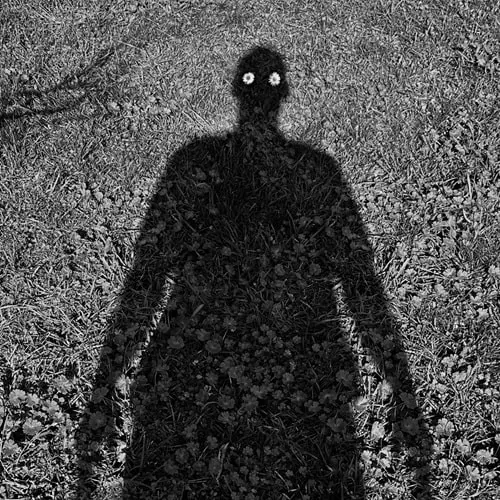 DJ W!LD / WHAT I DO IN THE SHADOWS PT.1