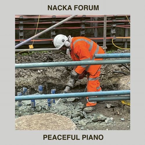 NACKA FORUM (JONAS KULLHAMMAR/GORAN KAJFES) / Peaceful Piano(LP)