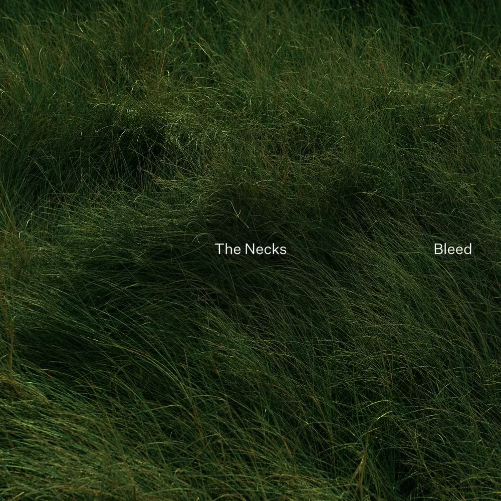 入荷♪ NECKS ネックス / BLEED オーストラリアが世界に誇るミニマル・アンビエントジャズ・トリオ 待望の20TH!!