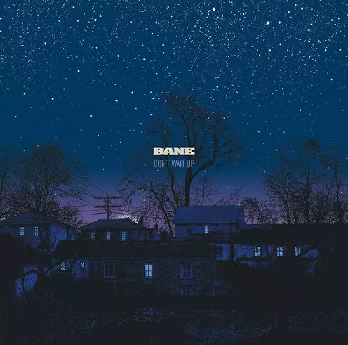 BANE / ベイン / DON'T WAIT UP (LP)