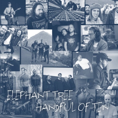 ELEPHANT TREE / HANDFUL OF TEN