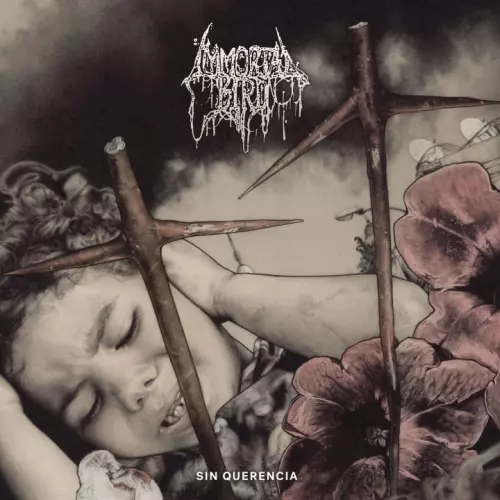 IMMORTAL BIRD / SIN QUERENCIA