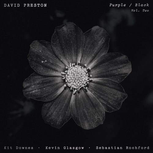 DAVID PRESTON / Volume 2 - Purple/Black