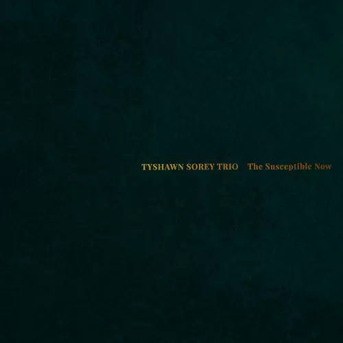 TYSHAWN SOREY / タイショーン・ソーリー / Susceptible Now