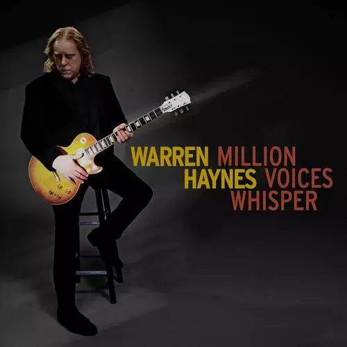 WARREN HAYNES / ウォーレン・ヘインズ / MILLION VOICES WHISPER (LP)