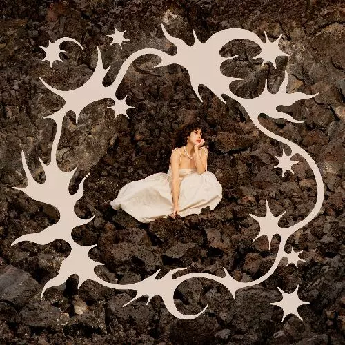 LITTLE MOON / リトル・ムーン / DEAR DIVINE (COLORED VINYL)
