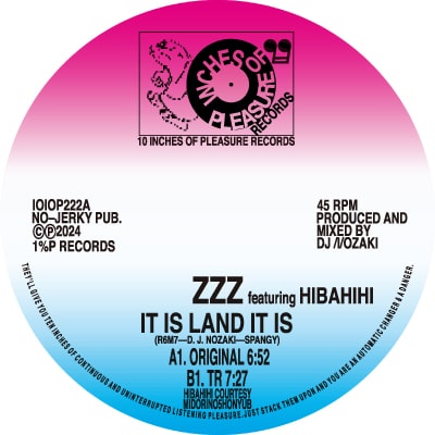 ZZZ FEAT. HIBAHIHI / IT IS LAND IT IS