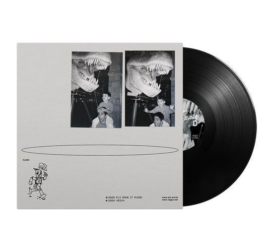 VEGYN / ヴィーガン / ONLY DIAMONDS CUT DIAMONDS (5 YEAR ANNIVERSARY REPRESS) 2LP