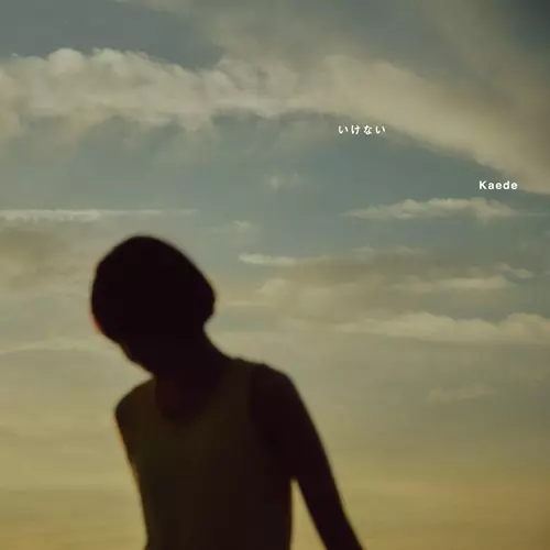 いけない (7インチ)/Kaede (Negicco)/Kaede(Negicco)ミツメ