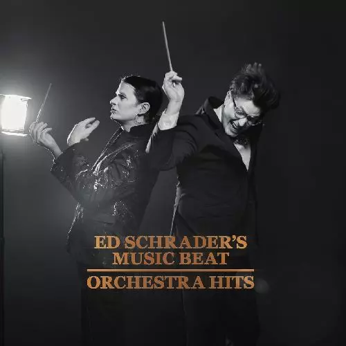 ED SCHRADER'S MUSIC BEAT / エド・シュレーダーズ・ミュージック・ビート / ORCHESTRA HITS (LP)