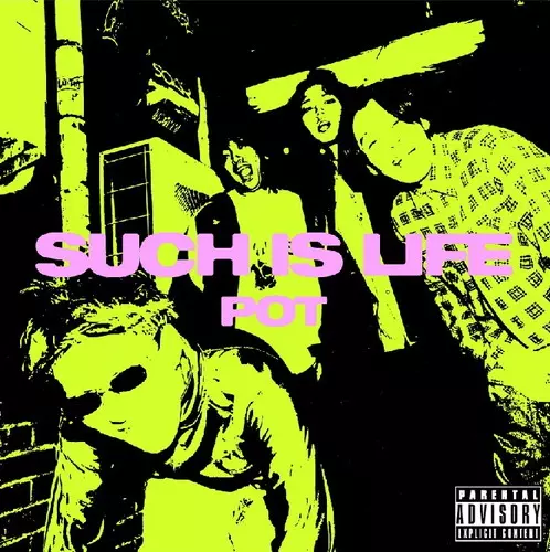 POT 15周年再録BEST ALBUM 「SUCH IS LIFE」/POT/熱量高めながら