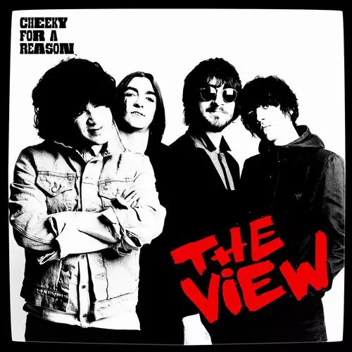 VIEW / ヴュー / CHEEKY FOR A REASON (COLOURED LP)