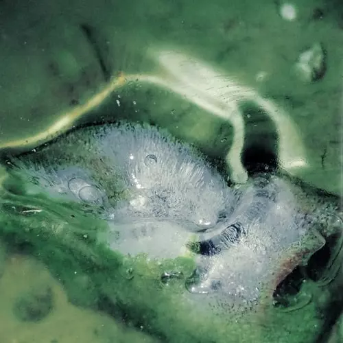 TRISTAN ARP / トリスタン・アープ / A POOL, A PORTAL (LP)