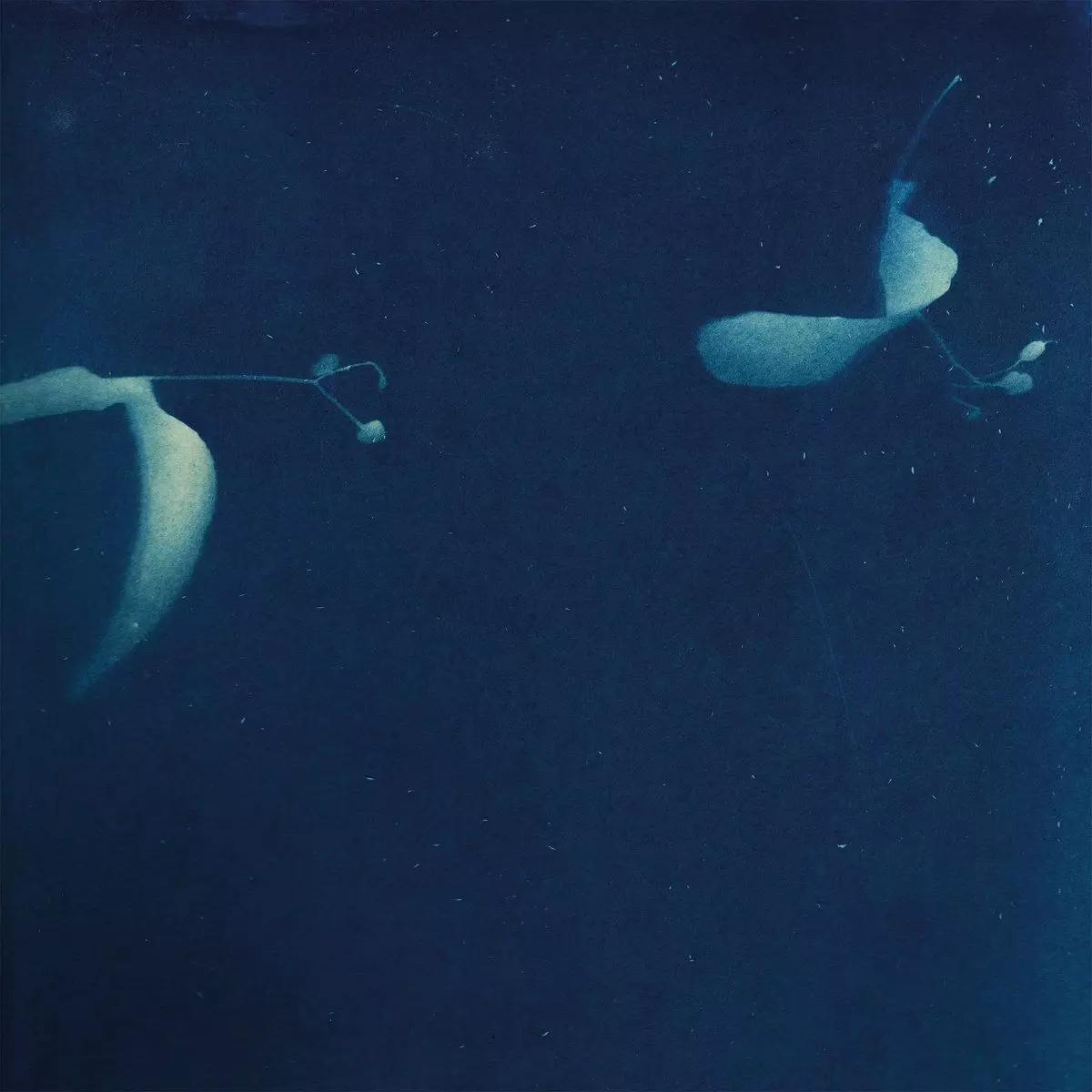 MIKI YUI / AS IF (LP)