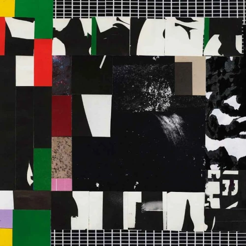 KINKAJOUS / キンカジュー / Nothing Will Disappear(LP)