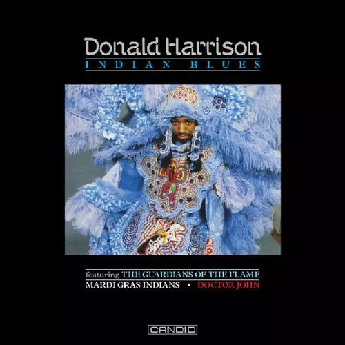 DONALD HARRISON & DR.JOHN / ドナルド・ハリソン&ドクダー・ジョン / Indian blues(2LP)
