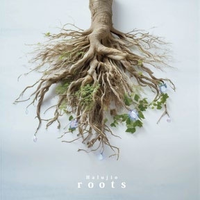 Halujio / roots
