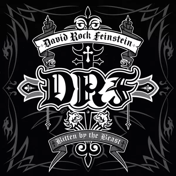 【タケカス様用】DAVID ROCK FEINSTEIN／Bitten By BITTEN BY THE BEAST/DAVID ROCK FEINSTEIN/ex THE RODSのDavid