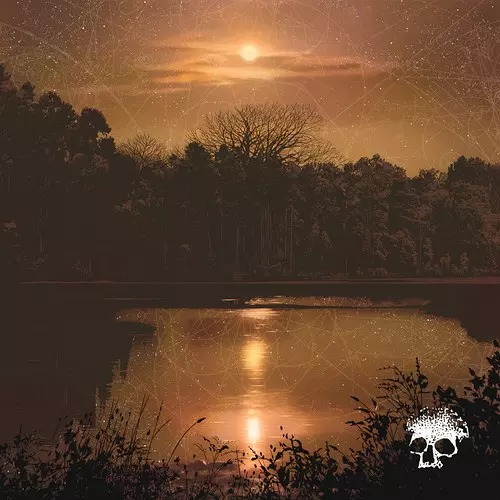 PLANES MISTAKEN FOR STARS / DO YOU STILL LOVE ME? (LP / DELUXE EDITION)