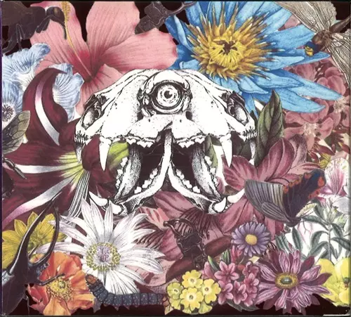 中南米のプログレッシヴロック｜PROGRESSIVE ROCK｜ディスク