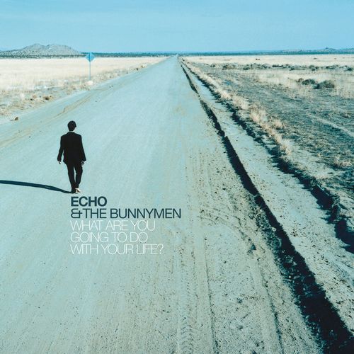 ECHO & THE BUNNYMEN / エコー&ザ・バニーメン / WHAT ARE YOU GOING TO DO WITH YOUR LIFE ? (25TH ANNIVERSARY EDITION 2CD)