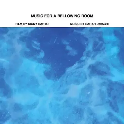 SARAH DAVACHI / サラ・ダヴァチー / MUSIC FOR A BELLOWING ROOM