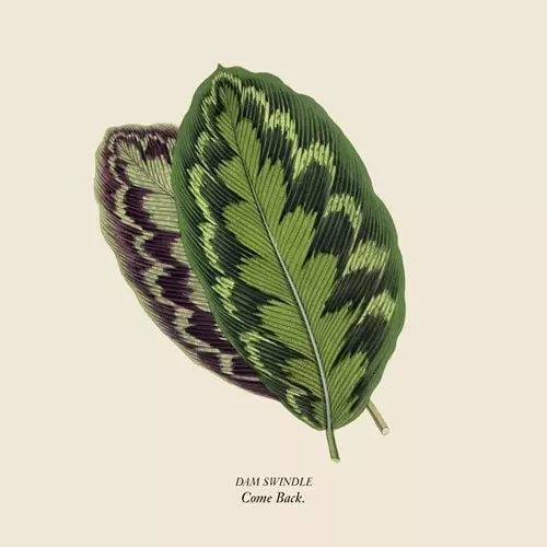 DAM SWINDLE / ダム・スウィンドル / COME BACK